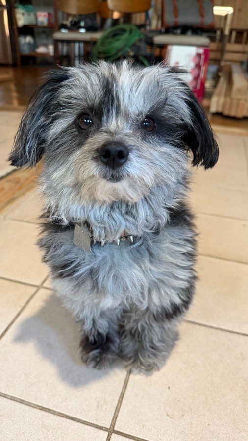 Emmy's photo