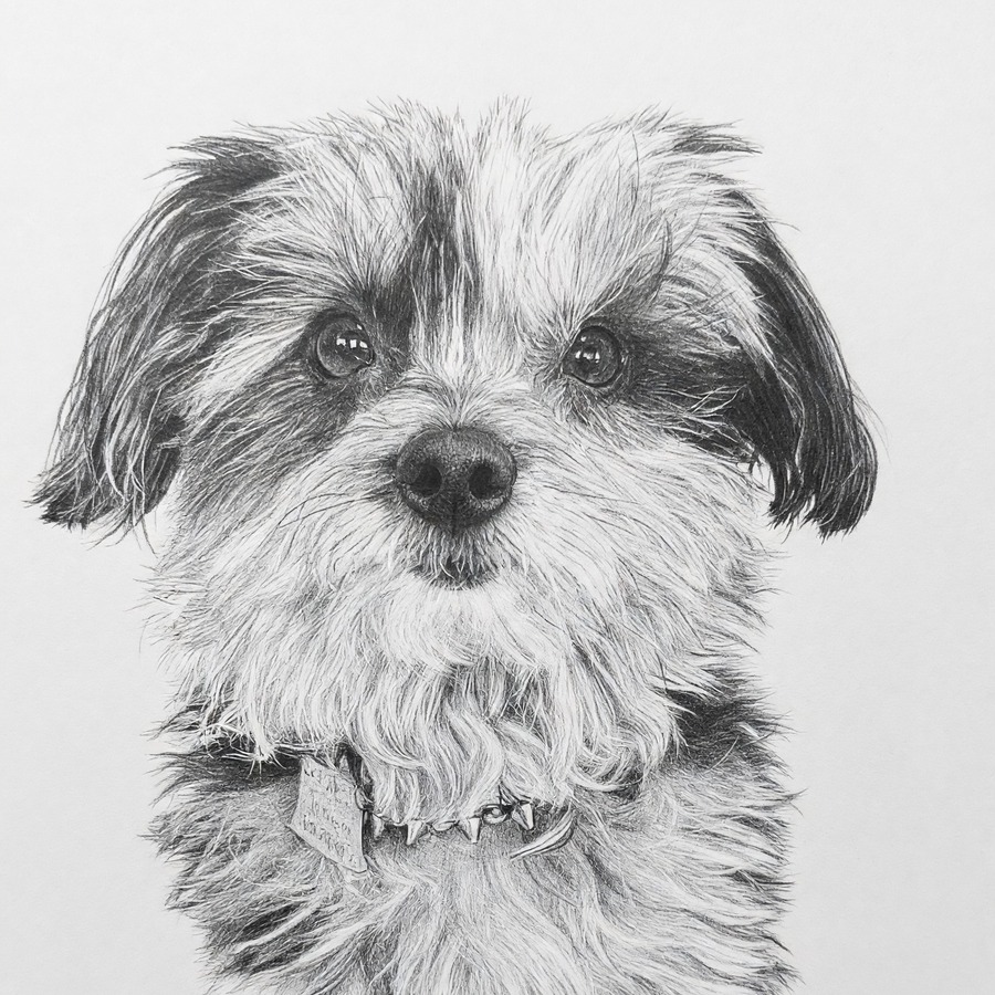 Emmy — Pencil Sketch